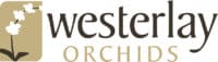 Westerlay graphic